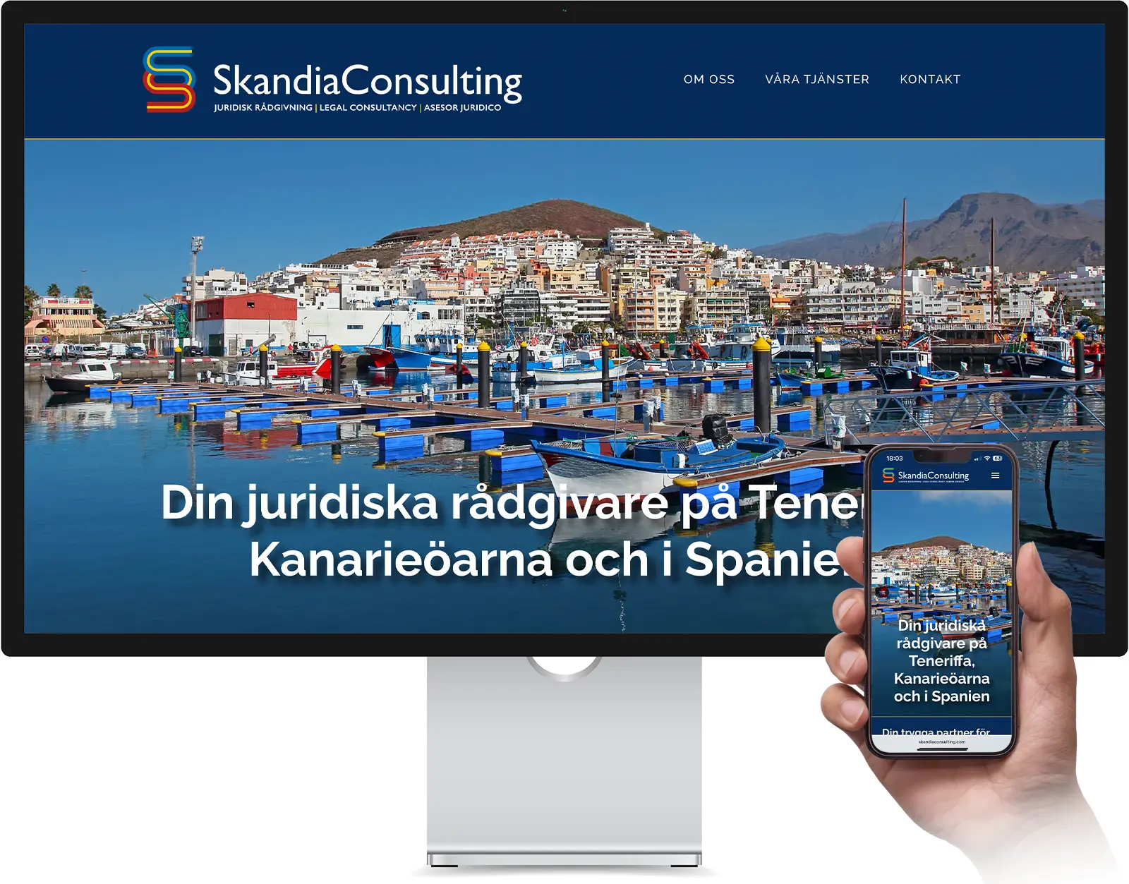 Skandia consulting webb